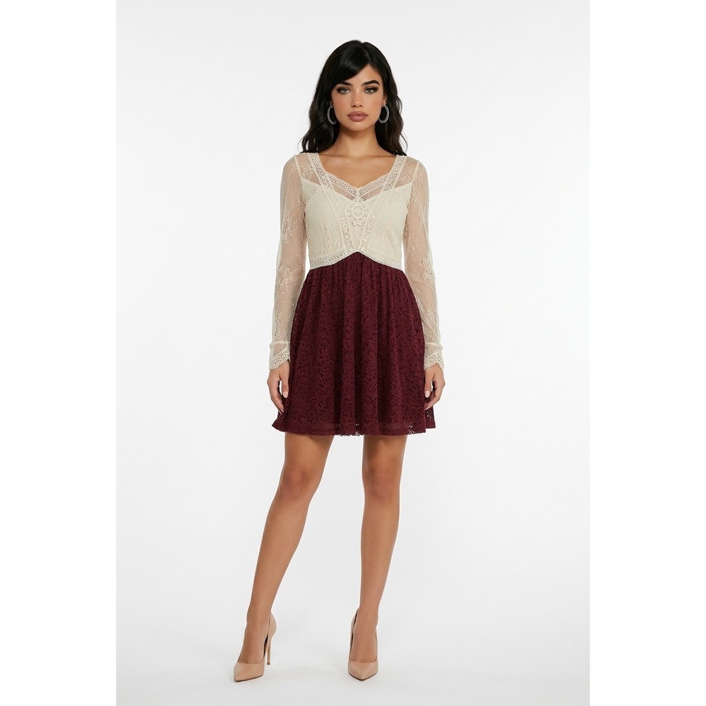 Free People Lace Mesh Mini Dress Burgundy Cream Victorian Gothcore Fit Flare 2